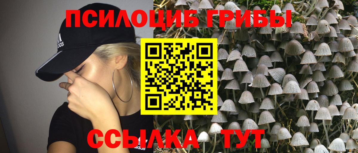 Галлюциногенные грибы MAGIC MUSHROOMS Советск