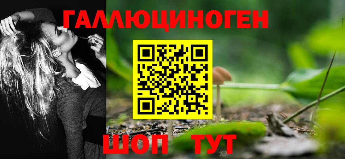 Галлюциногенные грибы прущие грибы  цены   Вход с VPN  Советск  Галлюциногенные грибы Magic Shrooms 
