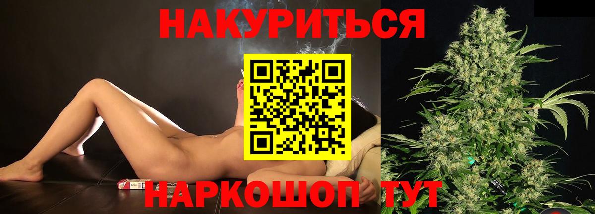 Конопля планчик Советск